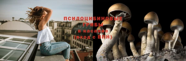 метамфетамин Гусиноозёрск