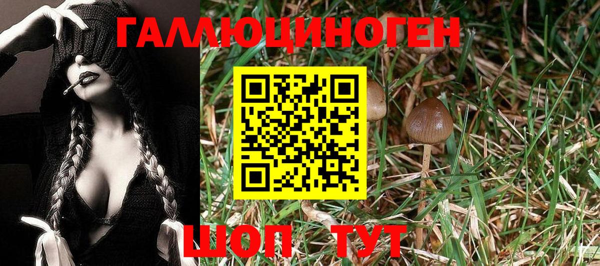 Псилоцибиновые грибы Magic Shrooms Москва