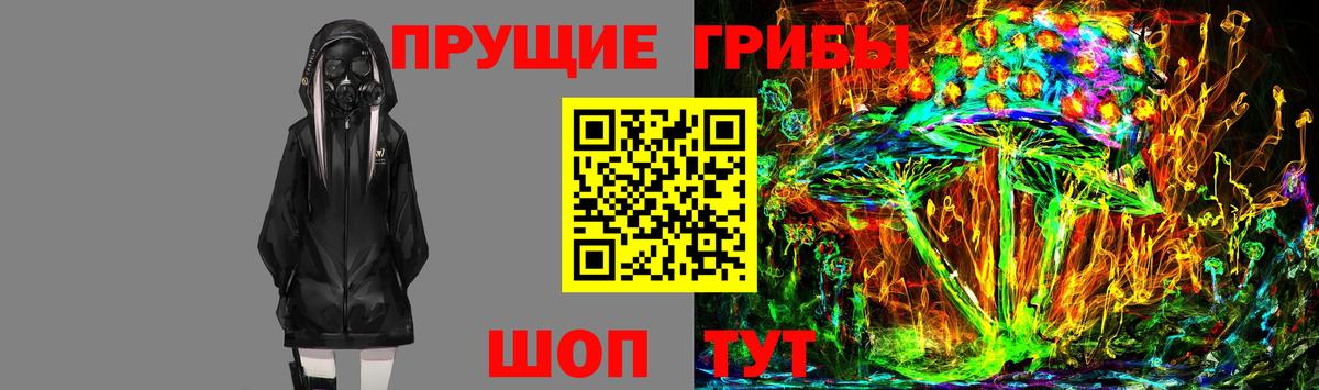 Псилоцибиновые грибы Psilocybine cubensis  Вход с VPN  Москва 